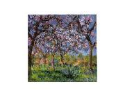 Claude Monet Printemps a Giverny china oil painting artist